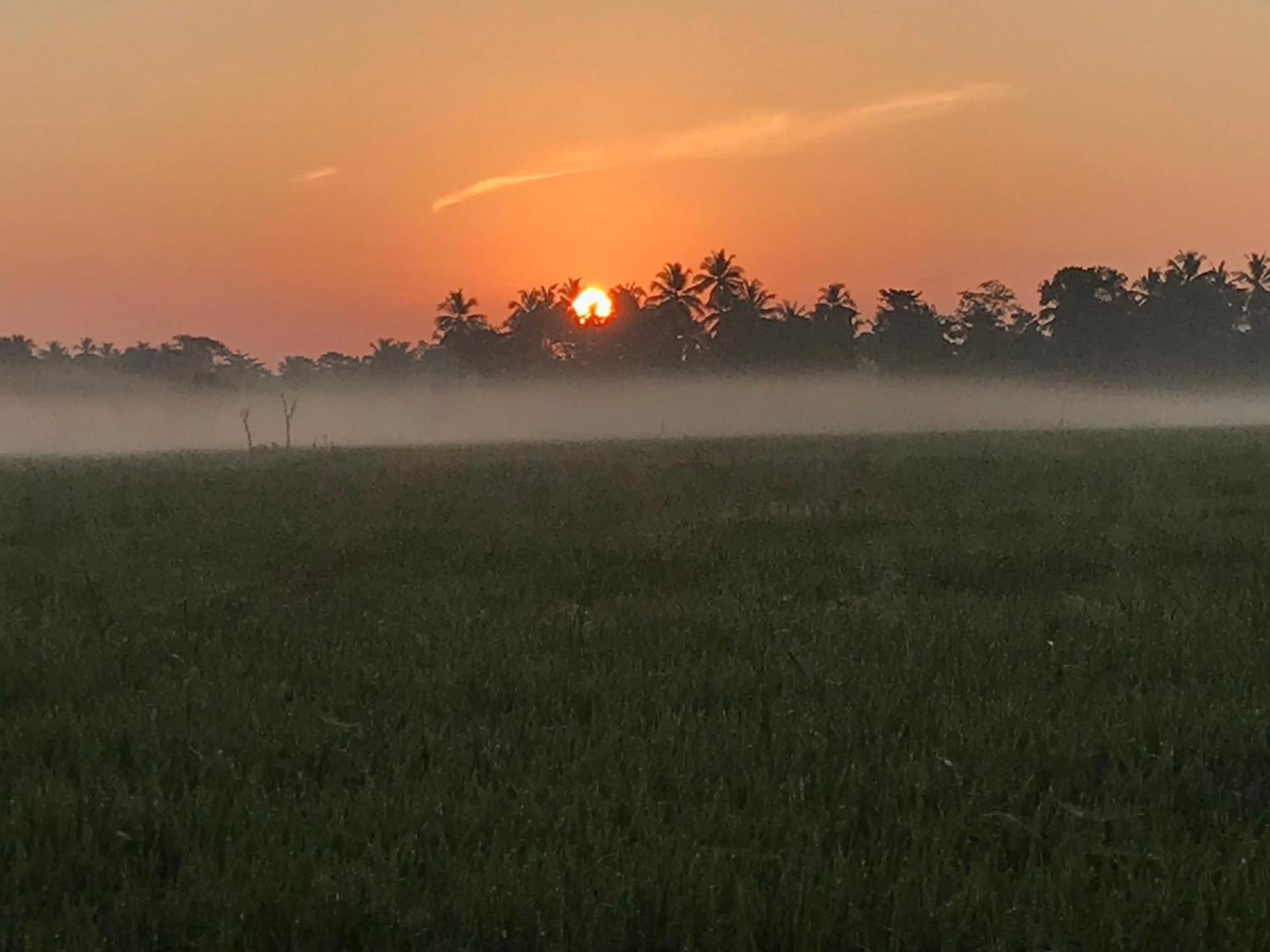 Aroma Villa Homestay Polonnaruwa Buitenkant foto