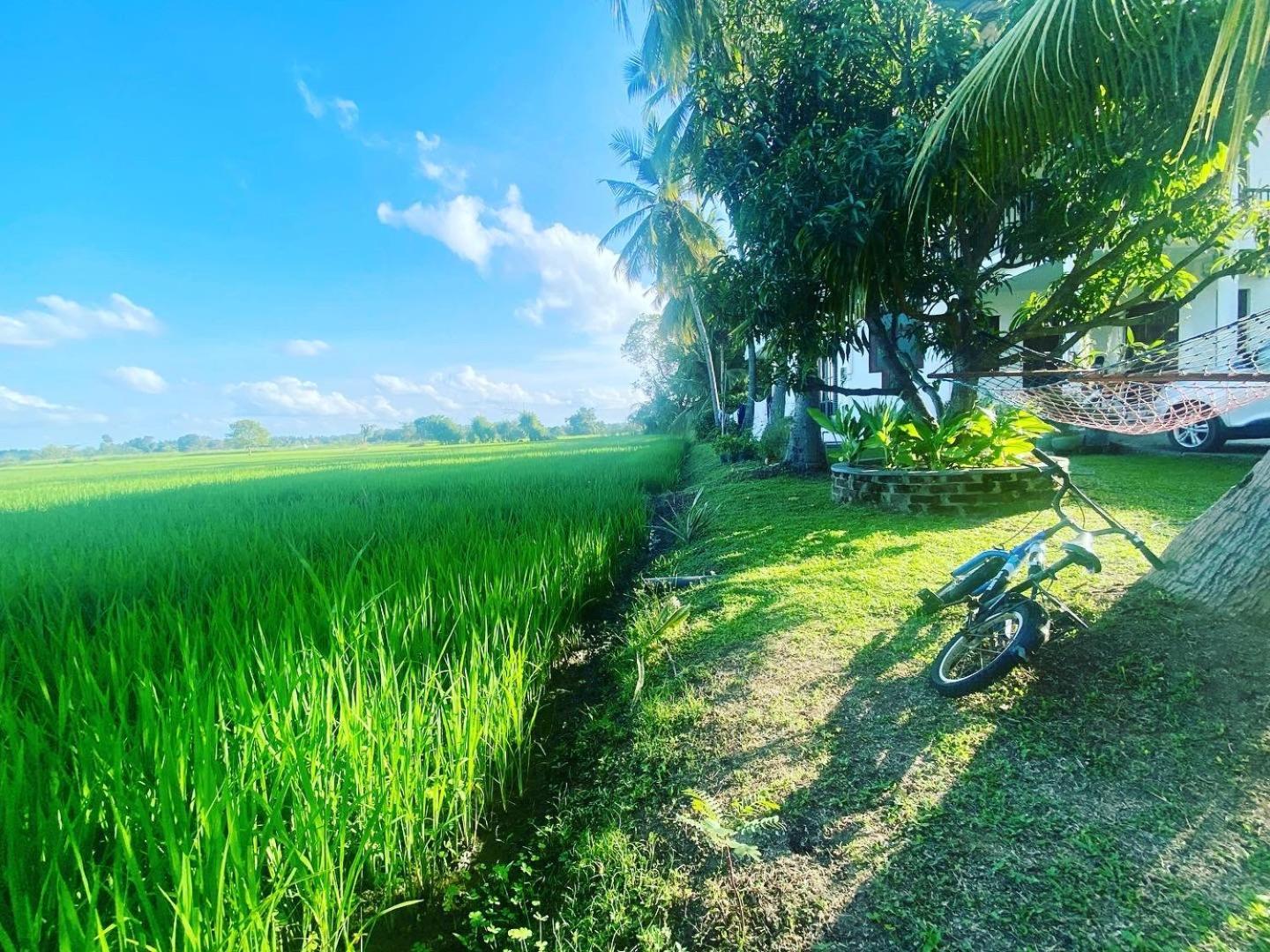 Aroma Villa Homestay Polonnaruwa Buitenkant foto