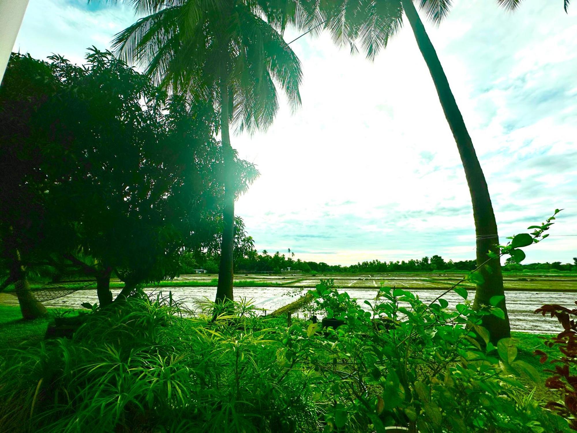 Aroma Villa Homestay Polonnaruwa Buitenkant foto